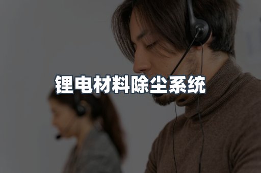 锂电材料除尘系统
